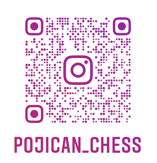 instagram_pojican_chess